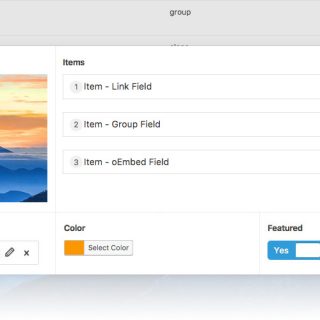 Advanced Custom Fields