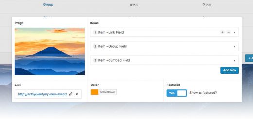 Advanced Custom Fields